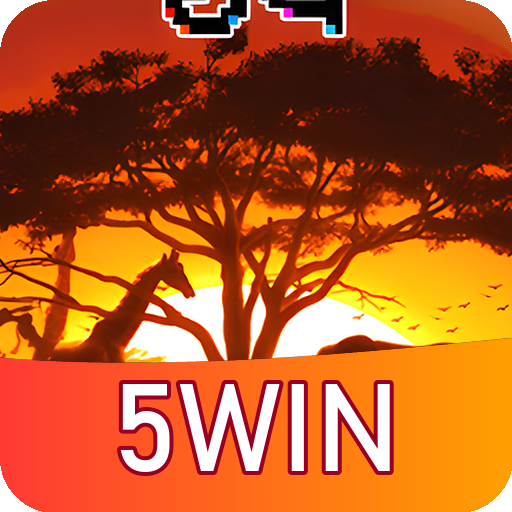 Verificação KYC 5WIN